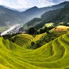 kyawmyo.aung463