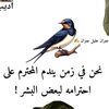 user9657871540486
