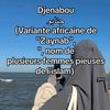 ferinada08