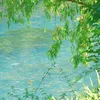 Lan Đình Nhã Tập