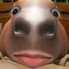 cholochatbaconoi8