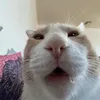 SocialMediaComments63