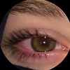dhaxyrey5