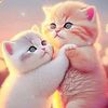 daadir.maxamed960