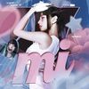 mi_company_official