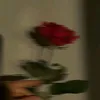 fa_tima407