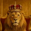 lion.empire36