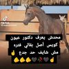 user3583626174658