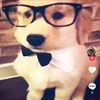 marz_is.cool