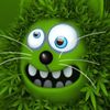 green.jota