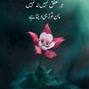 azeem.mighal2