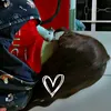 mayla_vitoria