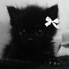 anniebannie001