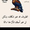 nasortrus2t
