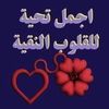 user8728702681412