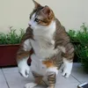 superxamvorkes40k
