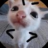 bandi_vids