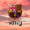 kmg443