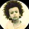 timan0019