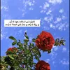 user5212149637091