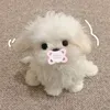 ur_girlieeepopsss