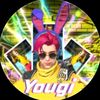 yougi3d30