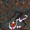 abbas.dar83
