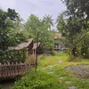 mimo_ng8