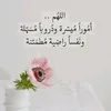 rokaya3804