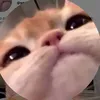 justchill1186