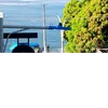 marquesalionesofc