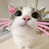 pinkyyyycan_