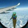 wtf_saul