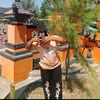 rendi.rendi0329