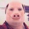 user282201483
