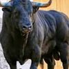sher.lims