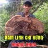 hoangjiewi7