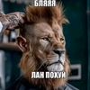 🐴мила🇺🇦печатает..(таблять)