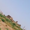 tiioar.ureir
