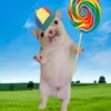 hellobro_1231