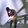 myomyatthu369