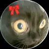 ilovebiscuits1233