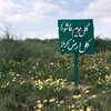 asmaali.313
