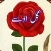zainullah9847