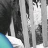 sandirabcl_12