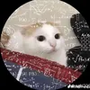 namlunn_2000