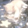 dream_xdp