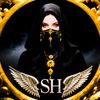 sh2009sh16