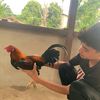 pubg.126_