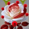 user319818618321